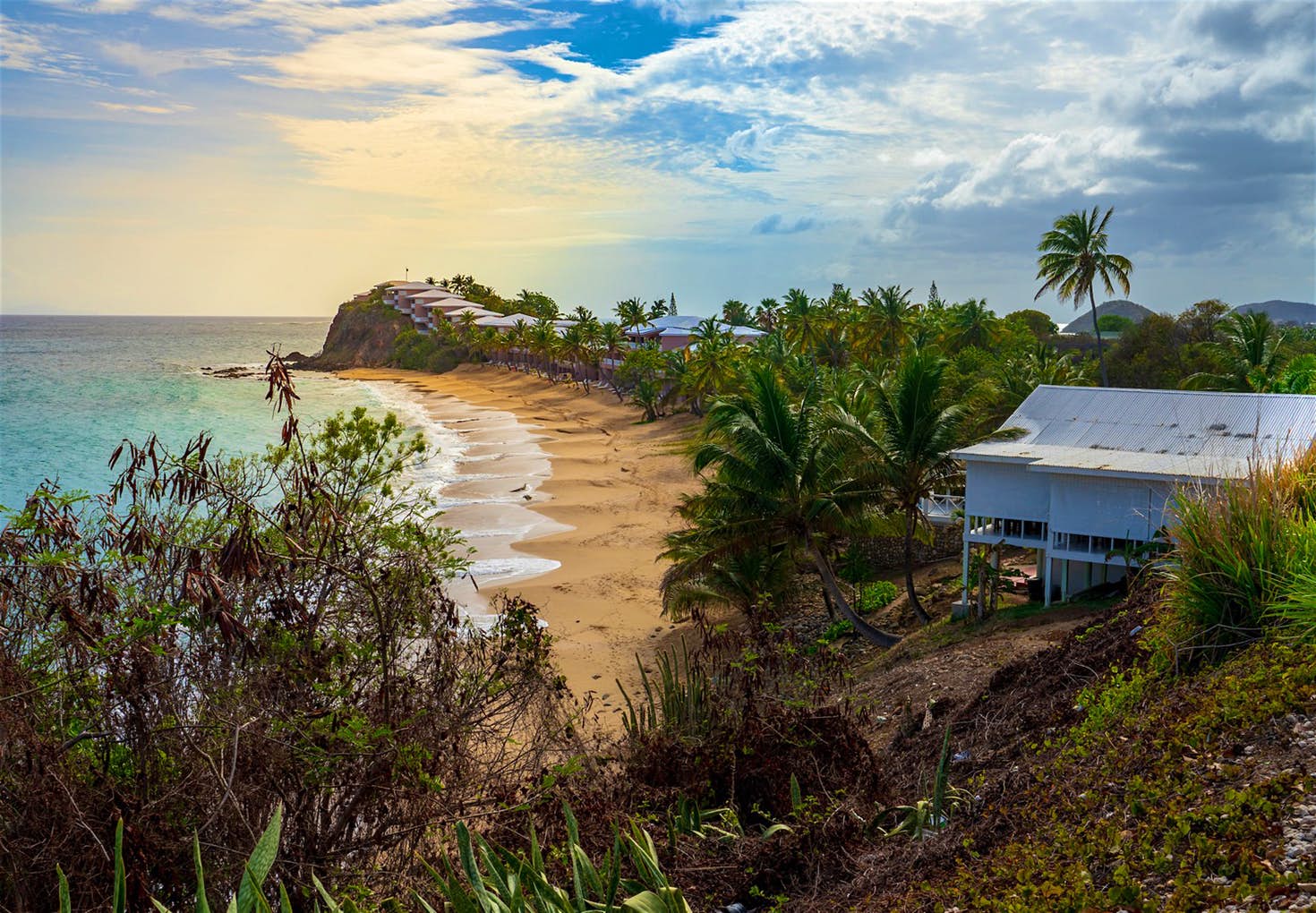 Island safari stop Antigua