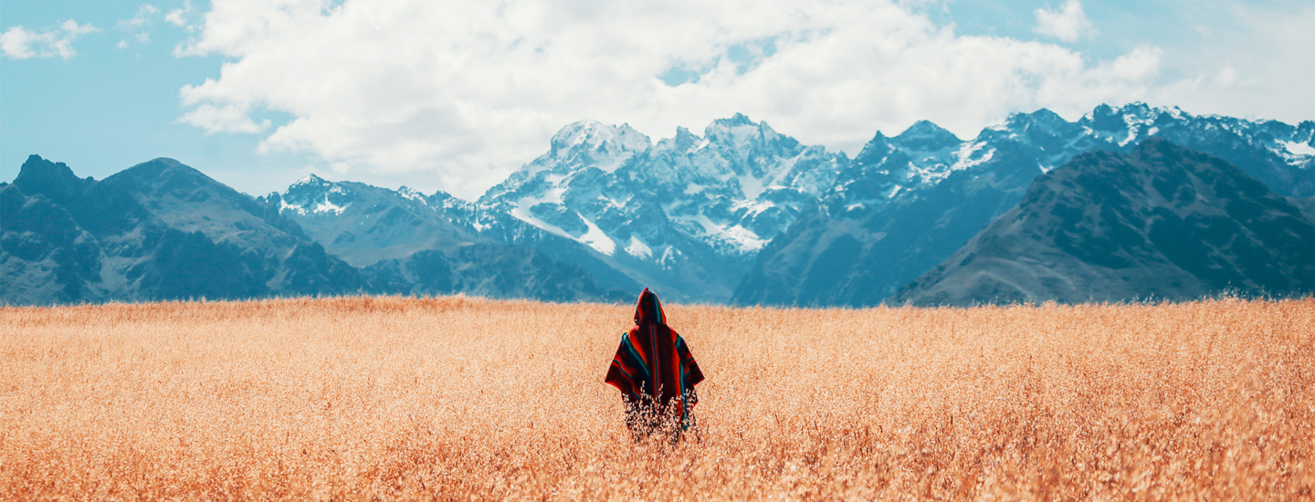 Man stood in field with mountain backdrop