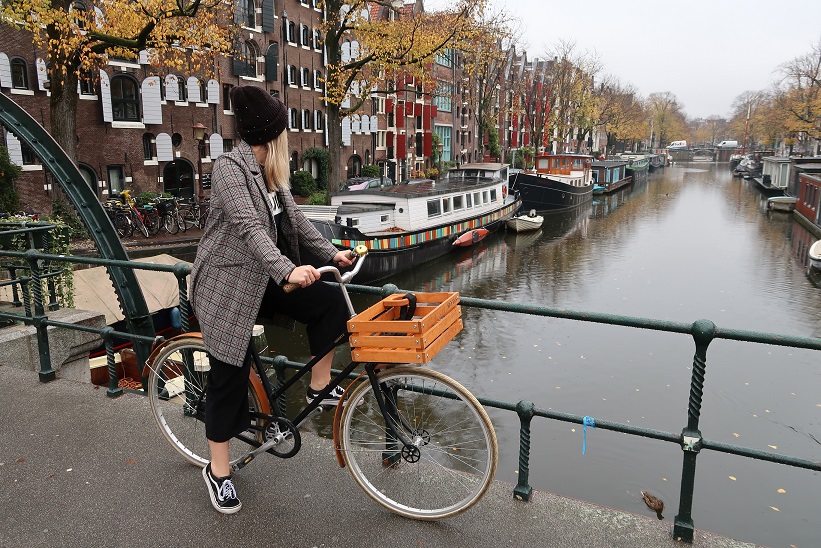 Sophies Suitcase Digital Nomad Jobs