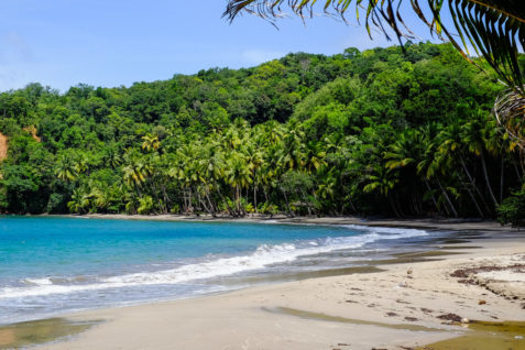 beautiful beach in Dominica