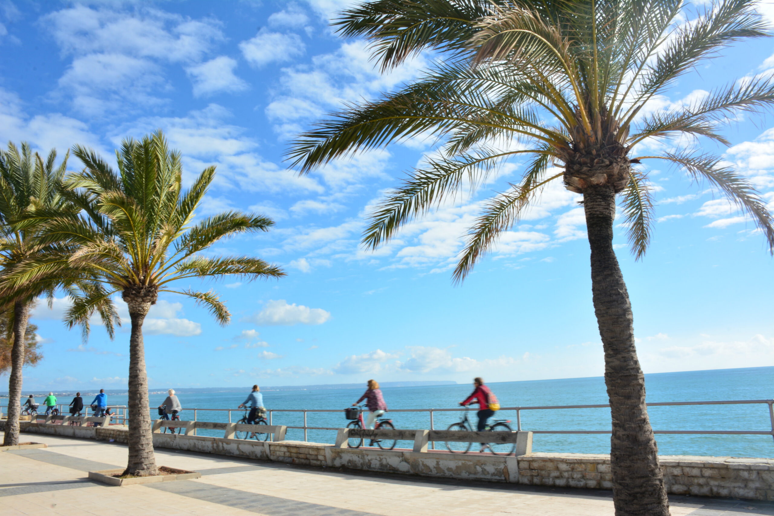 cyclists in Palma